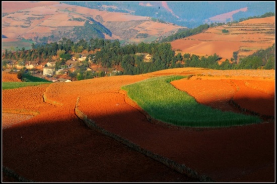 ����Ȼ��ɫ���ջ� ���϶���������-���ϵ���