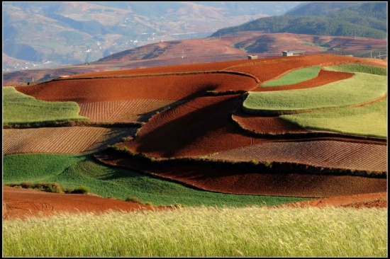 ����Ȼ��ɫ���ջ� ���϶���������-���ϵ���