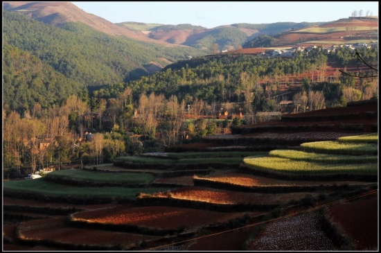 ����Ȼ��ɫ���ջ� ���϶���������-���ϵ���