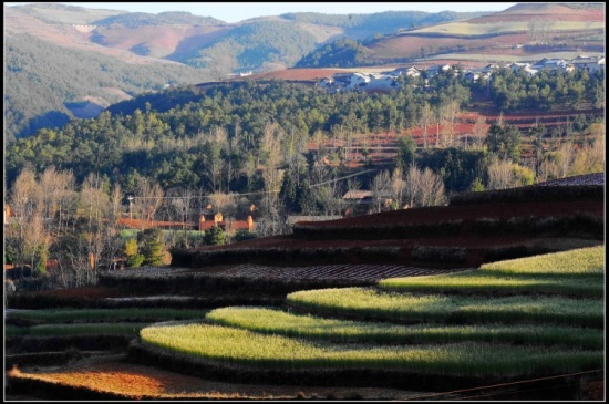 ����Ȼ��ɫ���ջ� ���϶���������-���ϵ���