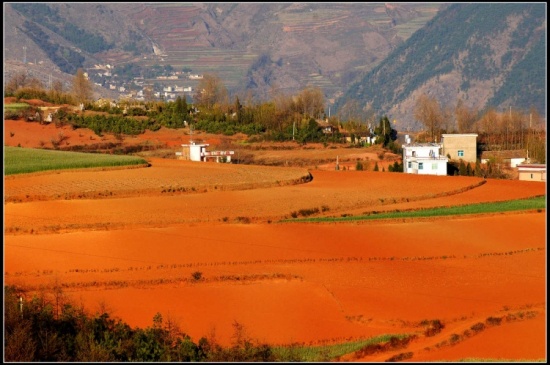 ����Ȼ��ɫ���ջ� ���϶���������-���ϵ���