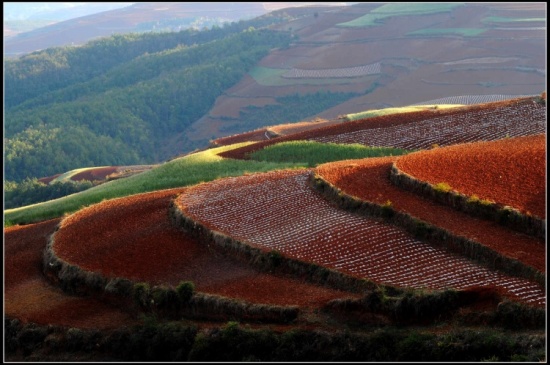 ����Ȼ��ɫ���ջ� ���϶���������-���ϵ���