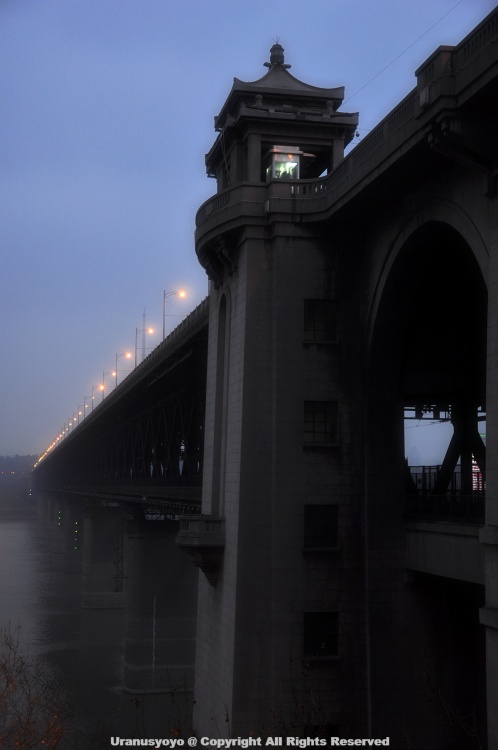 ������ӣ�ļ���-ֲ�ﻨ��