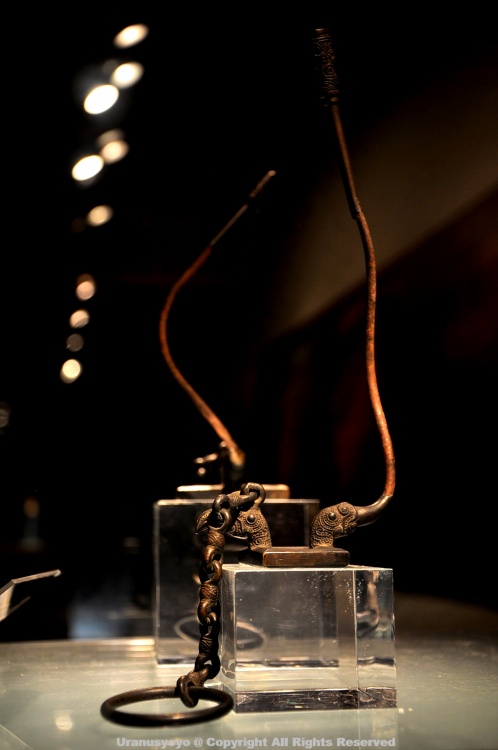 ������ӣ�ļ���-ֲ�ﻨ��