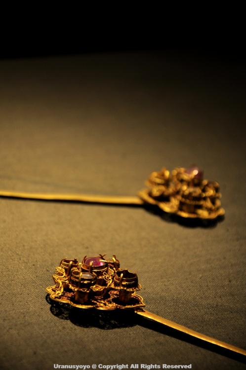 ������ӣ�ļ���-ֲ�ﻨ��