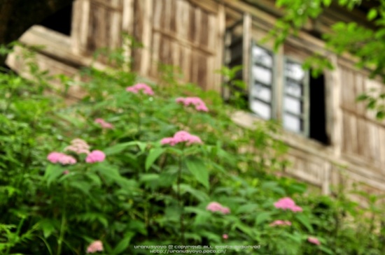 ������������԰������������-��Ȼ�羰