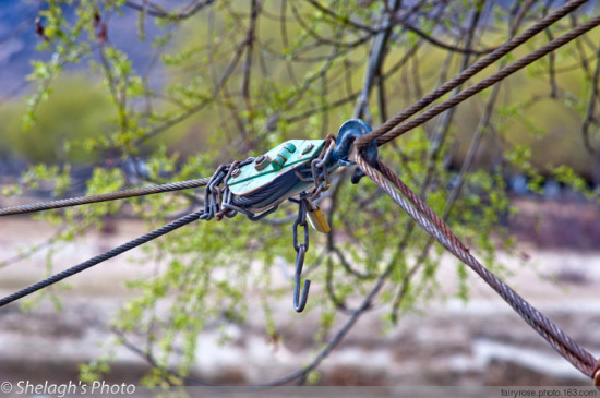 ��˾��ͷ�����֥-���ϵ���