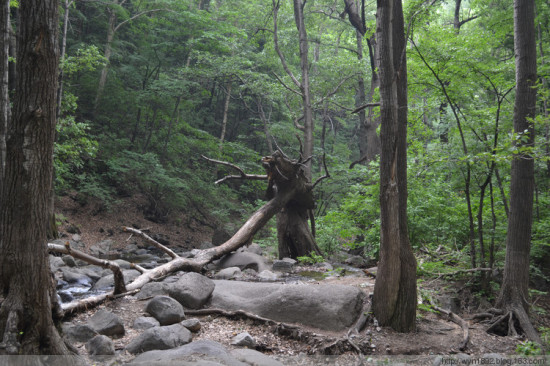 �е�<span class=lxw>[ע: �е£��ɳơ��Ⱥӡ���λ�ںӱ�ʡ��������������24��������ʷ�Ļ�����֮һ���й�ʮ��羰��ʤ������ʤ����ʮ�ѡ������ص�羰��ʤ�����ǹ��Ҽ��࿪�ų��С�]</span>����ɽ-��Ȼ�羰