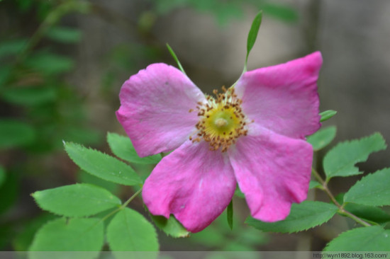 �е�����ɽ-��Ȼ�羰