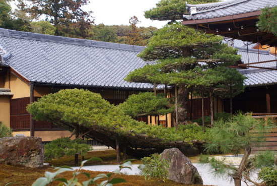 �ձ����š��������-��Ȼ�羰