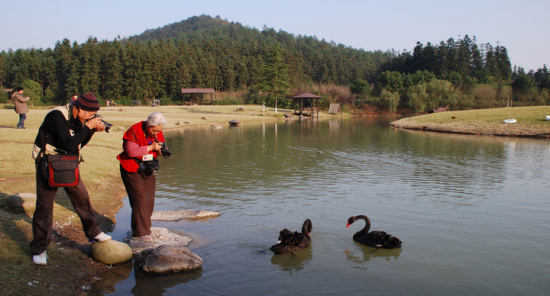 ��䱹���-������Ӱ