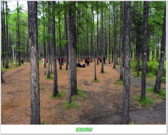 Į����Է�����۱�־-��������