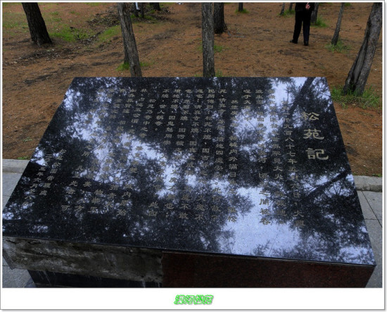 Į����Է�����۱�־-��������