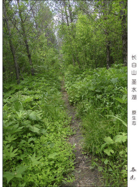 ����ɽʥˮ��-��Ȼ�羰