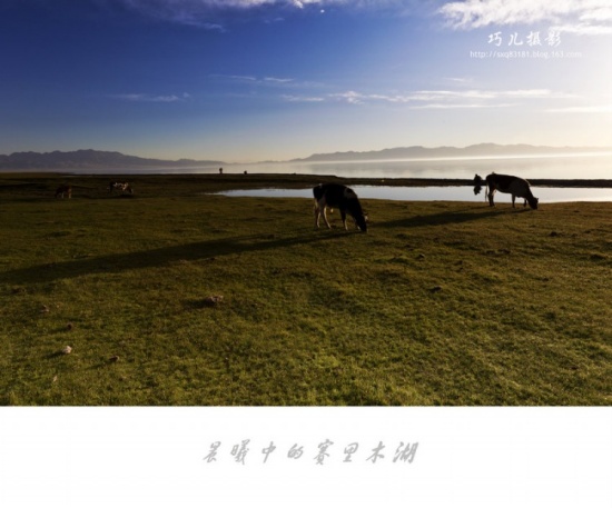 ����֮�С�������ľ�����ģ�-��������