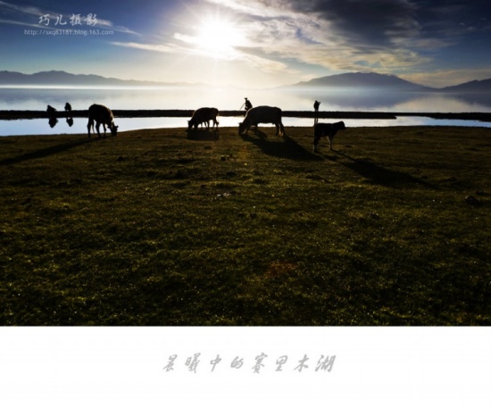 ����֮�С�������ľ�����ģ�-��������