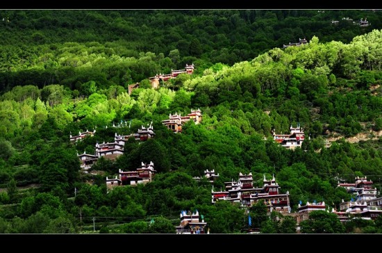 ���㴨�ء��׾Ӳ�կ-���ϵ���