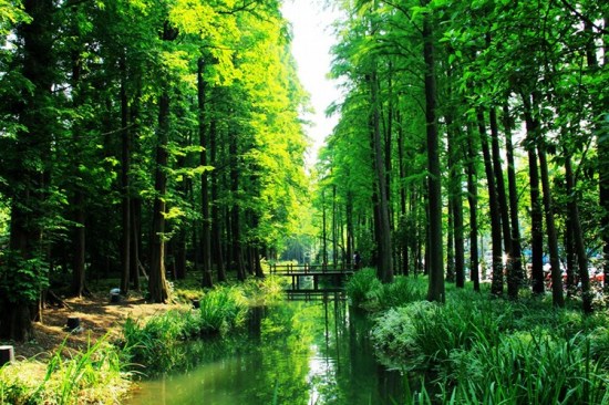 ����̫���幫԰<span class=lxw>[ע: ̫���幫԰λ�����������磬����ɽ��֦���¡��������λ���ׯ�ģ�������̫����˶�������̫����ԭΪ���壬��ɽ�ͷ����ˢ����ɳ�ٻ�Ϊ�����ݵء�]</span>-��������