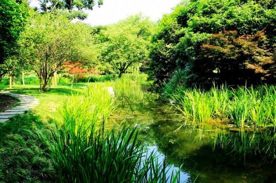 ����̫���幫԰-��������