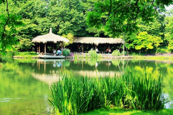 ����̫���幫԰-��������