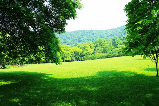 ����̫���幫԰-��������