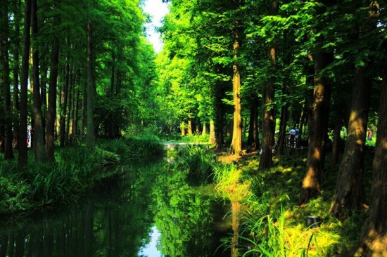 ����̫���幫԰-��������