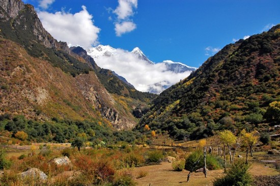 �صؾ������30�����Ȱ��߷�2-���ϵ���