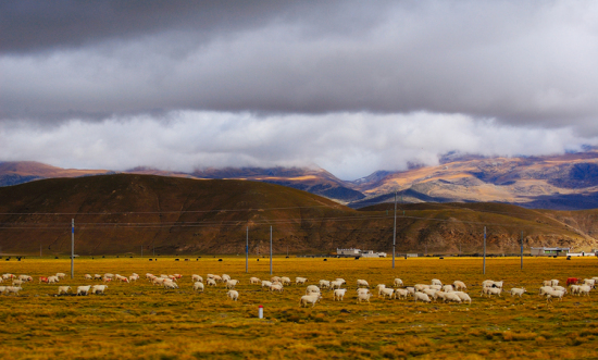 �ص������-���ϵ���