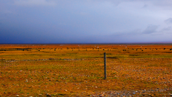 �ص������-���ϵ���