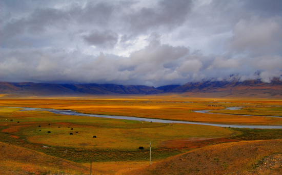 �ص������-���ϵ���