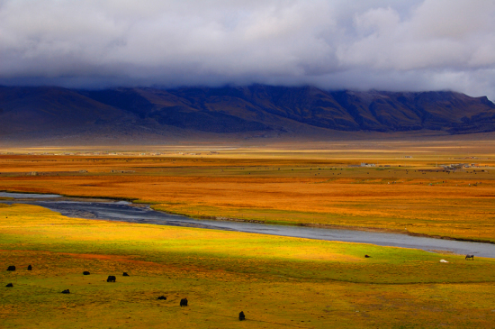 �ص������-���ϵ���