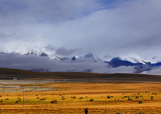 �ص������-���ϵ���