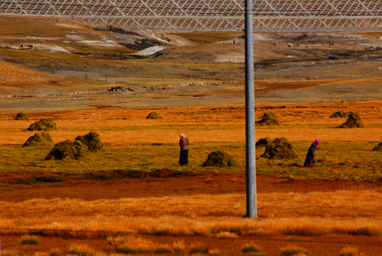 �ص������-���ϵ���