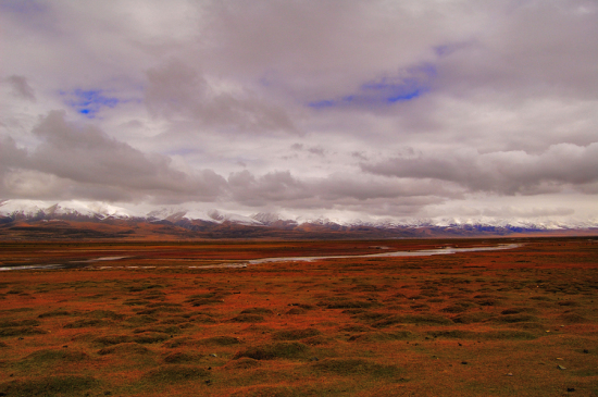 �ص������-���ϵ���