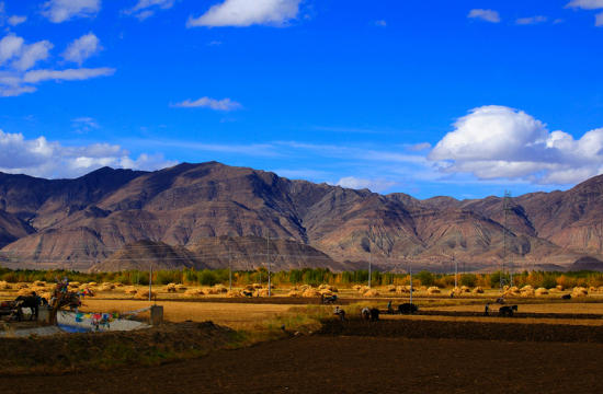 �ص������-���ϵ���