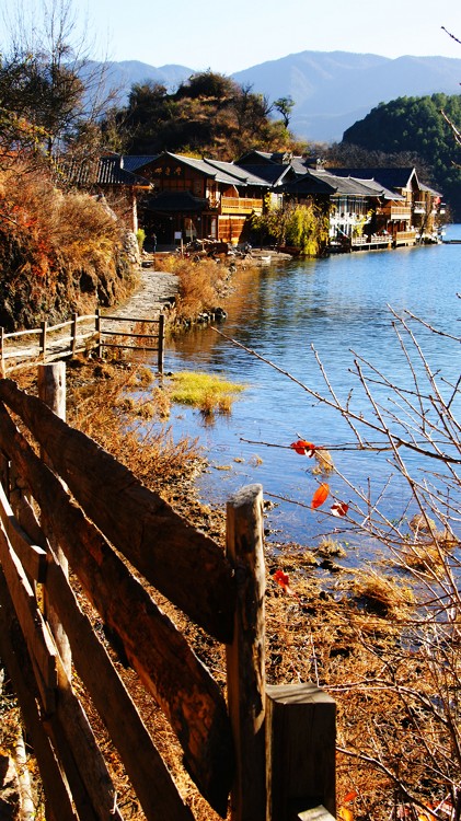 �߽�����---�����-���ϵ���