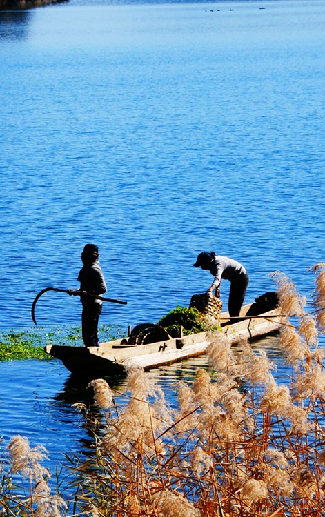 �߽�����---�����-���ϵ���