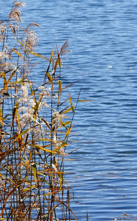 �߽�����---�����-���ϵ���