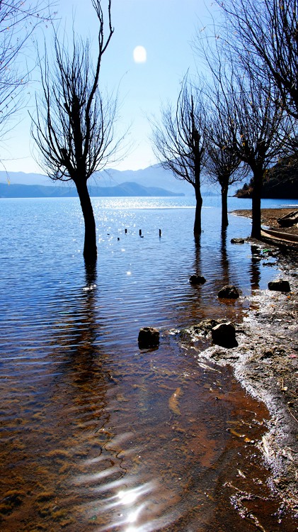 �߽�����---�����-���ϵ���