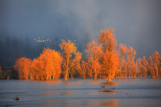 �����ԭ��������-��Ȼ�羰