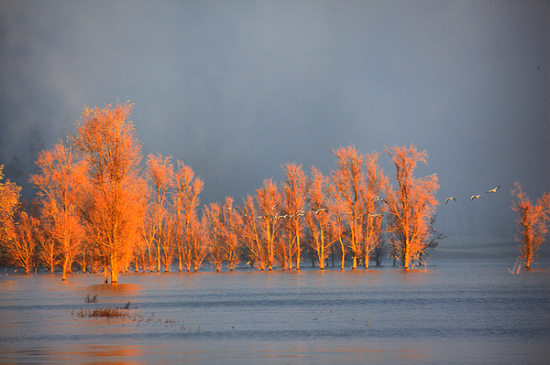 �����ԭ��������-��Ȼ�羰