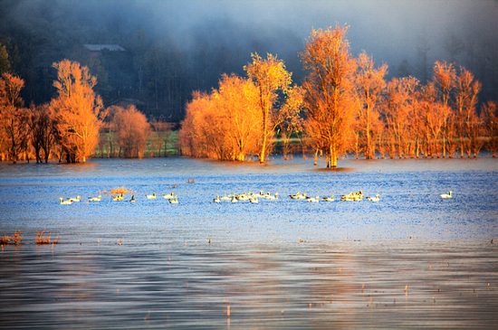 �����ԭ��������-��Ȼ�羰