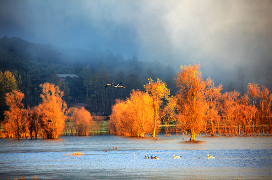 �����ԭ��������-��Ȼ�羰