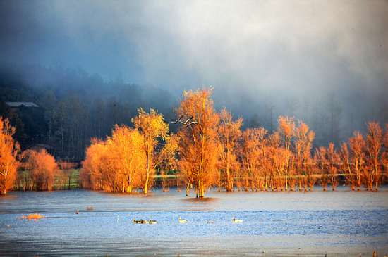 �����ԭ��������-��Ȼ�羰