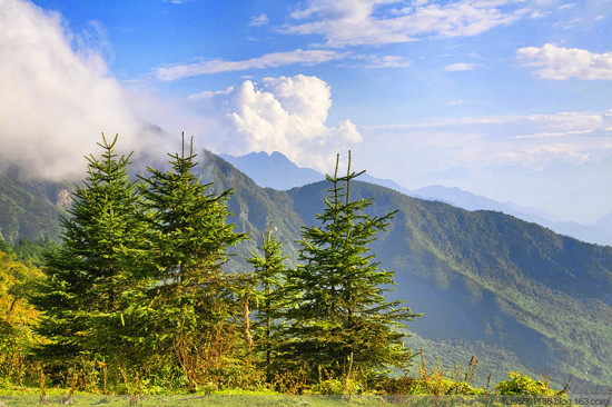 ���ƶ���ɽ-���ϵ���