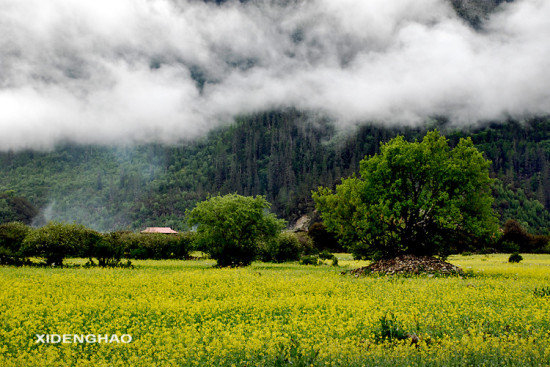 ��Ƭ����-��Ȼ�羰