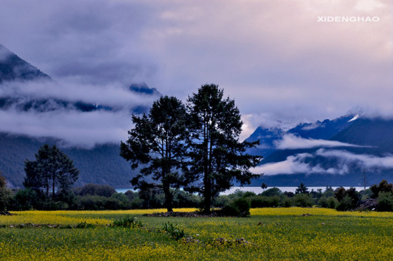 ��Ƭ����-��Ȼ�羰