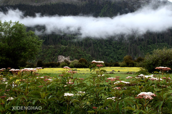 ��Ƭ����-��Ȼ�羰