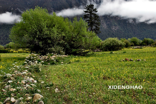 ��Ƭ����-��Ȼ�羰