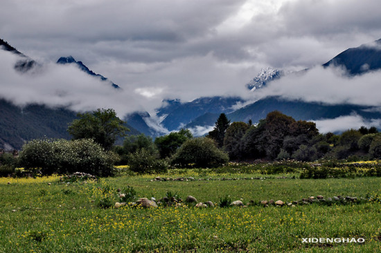 ��Ƭ����-��Ȼ�羰